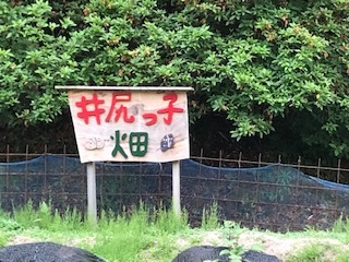 看板の様子です