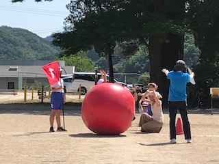 大玉転がしスタート前