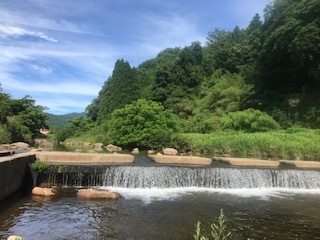 今日の伯太川