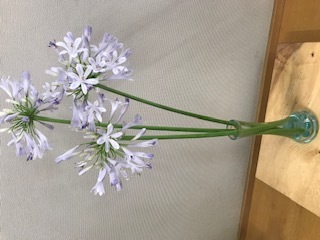 生け花1