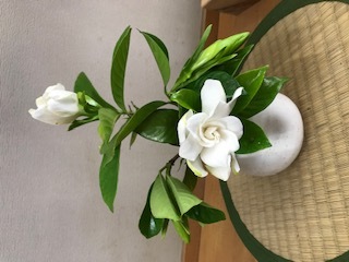 くちなしの花