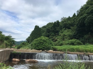 今日の伯太川