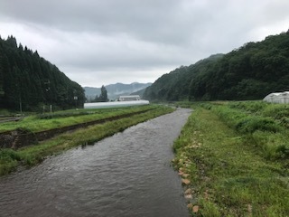 天神大谷橋から見た伯太川