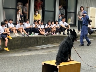 警察犬2