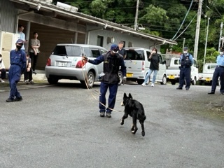 警察犬3