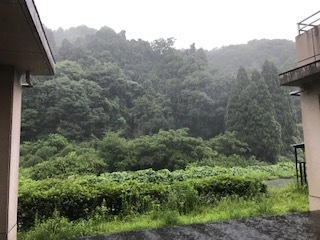 雨の校舎裏