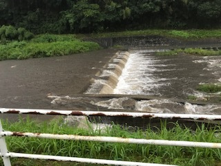 雨の伯太川