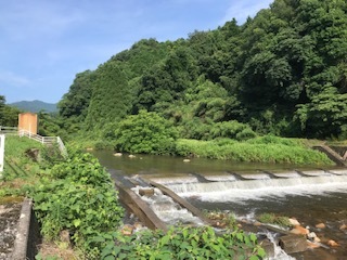 伯太川の様子