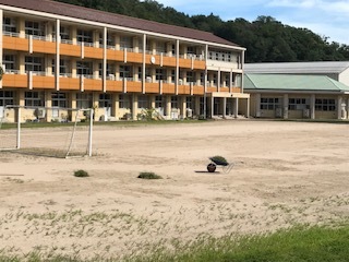 校庭の様子