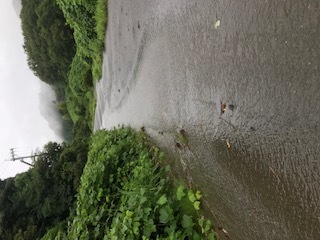 伯太運動公園入口の様子