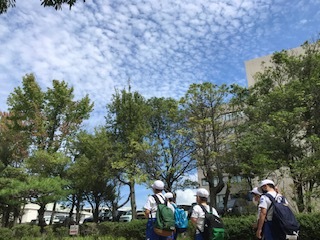 うろこ雲の様子