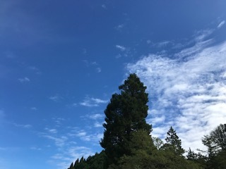 昼間の青空