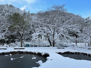 雪の風景