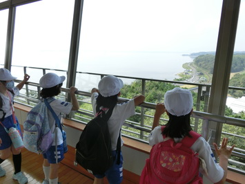 展望台から宍道湖を眺めた写真です。