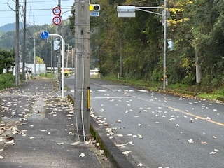 道路の様子