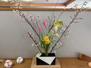 春の花