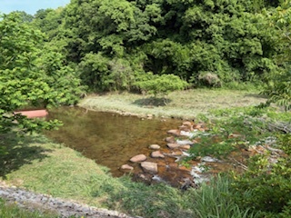 草刈り1