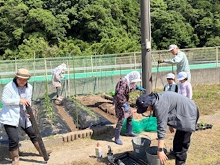 低学年畑1