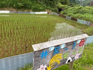 井尻っ子田んぼ