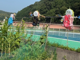 かかし1