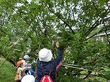 町探検の様子3