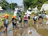 田植えの様子2