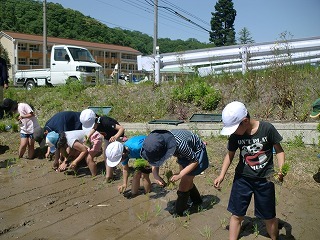 みんなで田植え