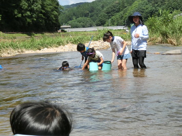 箱メガネを使って水中を除いたり水生生物を捕まえたりしています。