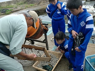 サルボウ貝を養殖している様子を見せてもらいました