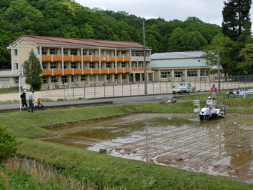 田植えの様子です。