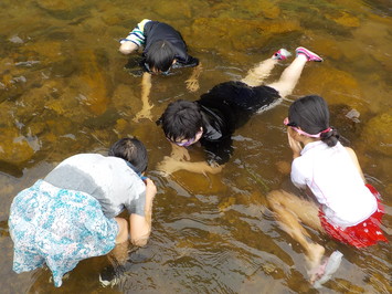 全校川遊びの写真４です。