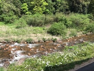 伯太川の様子です