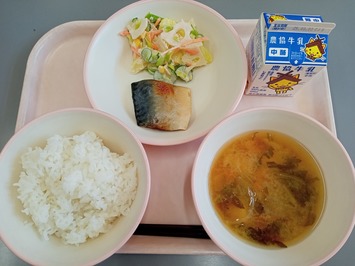 250225kyushoku