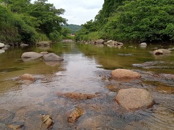 240708hakutagawa