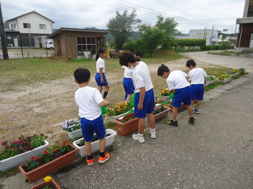 人権の花３