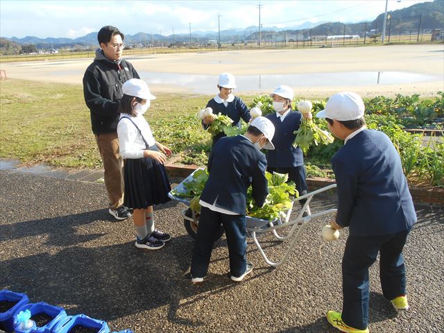 収穫の様子２