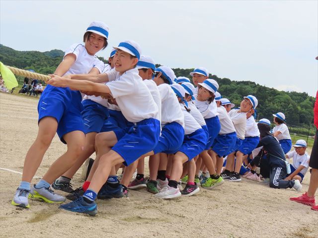 綱引き青組