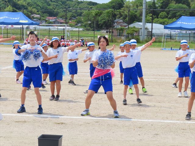 応援合戦青組