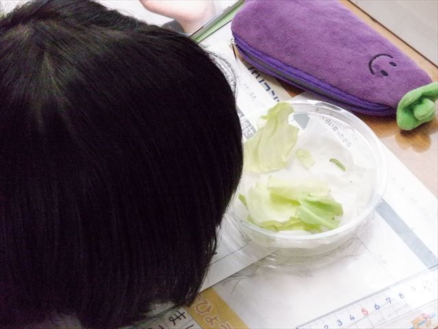 理科の観察の様子２