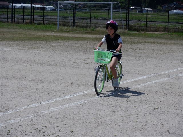 運転技能コースの一本橋