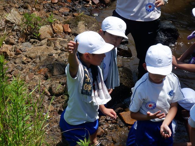水生生物調査１