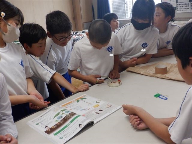 新たな問題