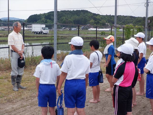 講師の先生から説明