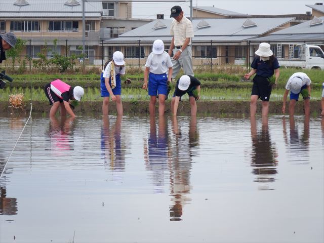 体験の様子３