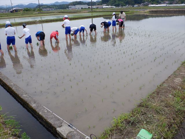 体験の様子7
