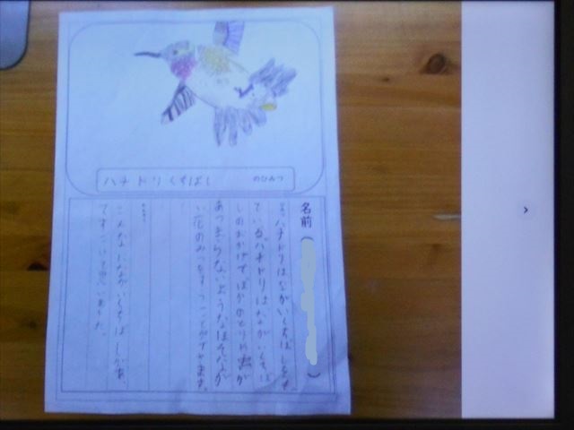 発表資料