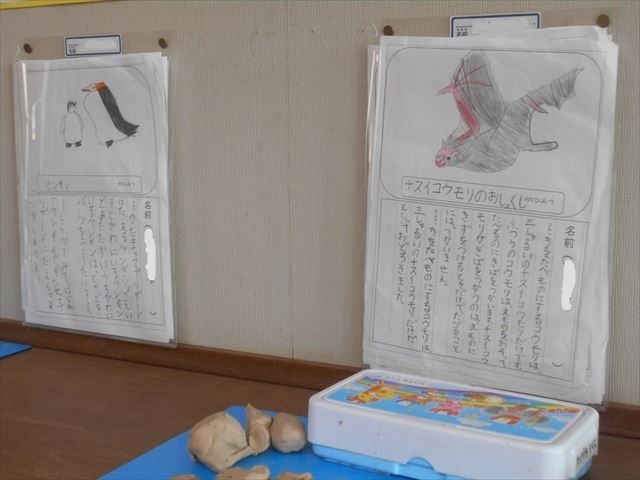 発表以外の調べた動物