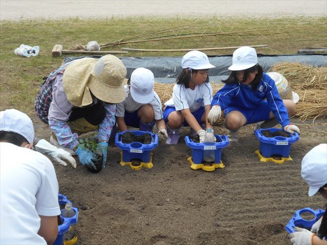 活動の様子１