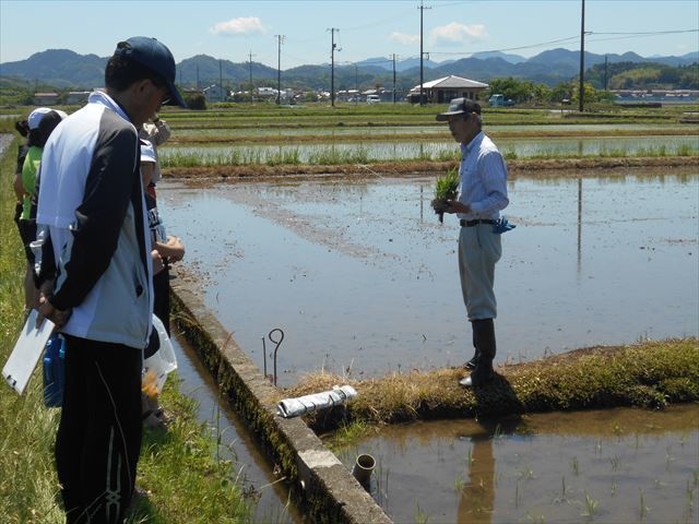 活動の様子２