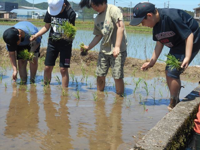 活動の様子４